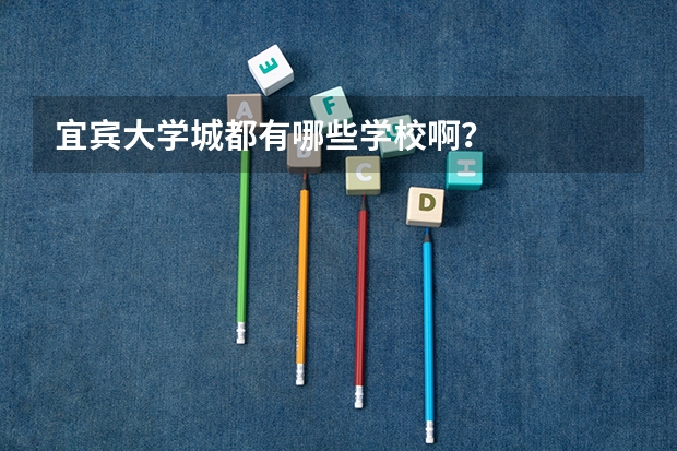 宜宾大学城都有哪些学校啊？