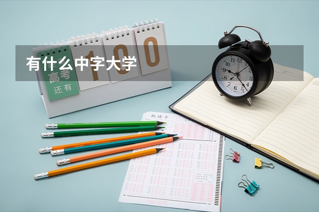 有什么中字大学
