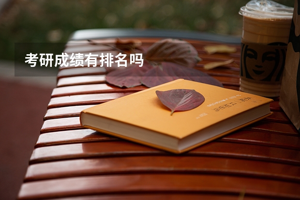 考研成绩有排名吗