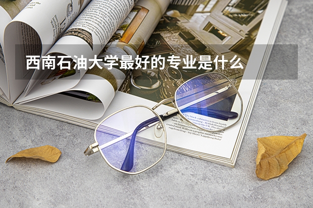 西南石油大学最好的专业是什么
