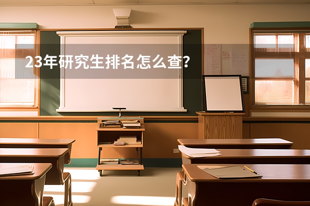 23年研究生排名怎么查？