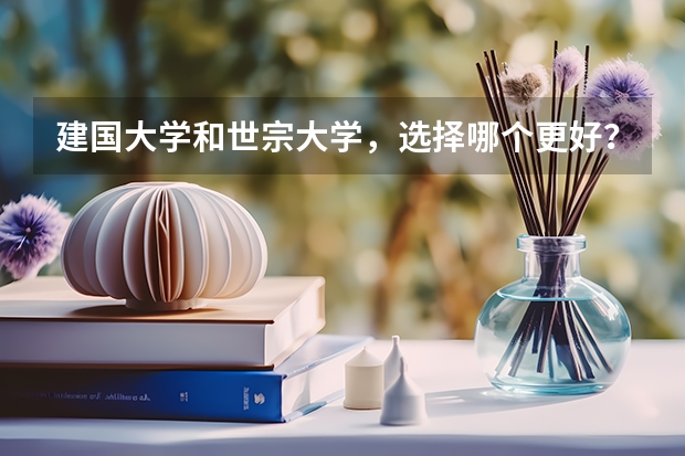 建国大学和世宗大学，选择哪个更好？