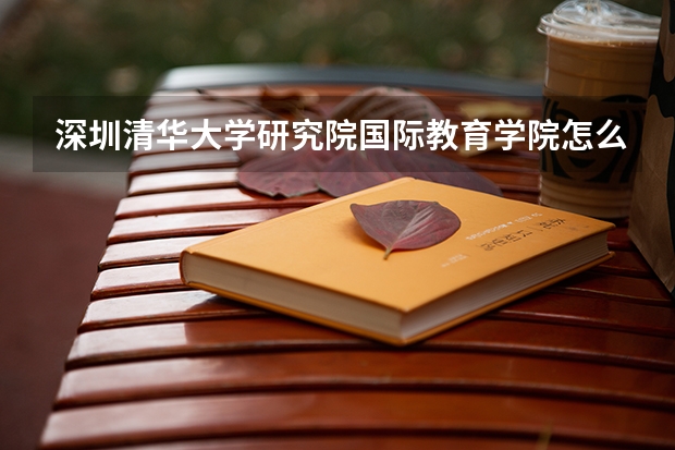 深圳清华大学研究院国际教育学院怎么样？