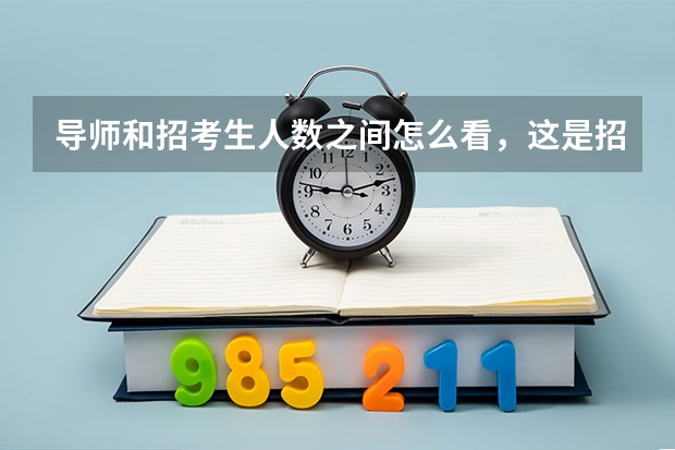导师和招考生人数之间怎么看，这是招生简章上面的？