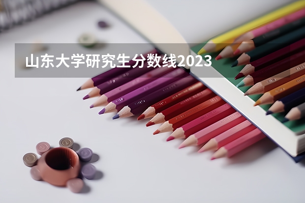 山东大学研究生分数线2023