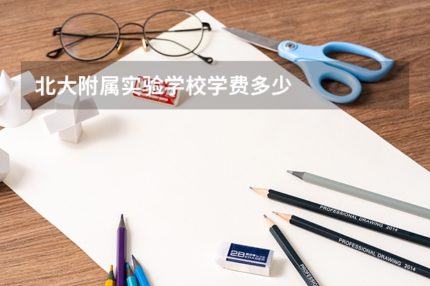 北大附属实验学校学费多少