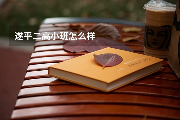 遂平二高小班怎么样