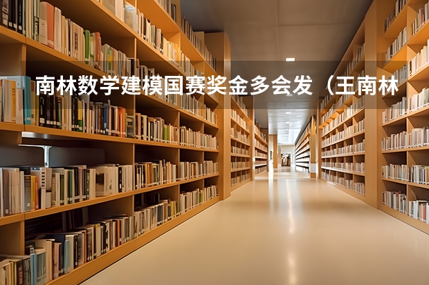 南林数学建模国赛奖金多会发（王南林安庆四中数学教师）