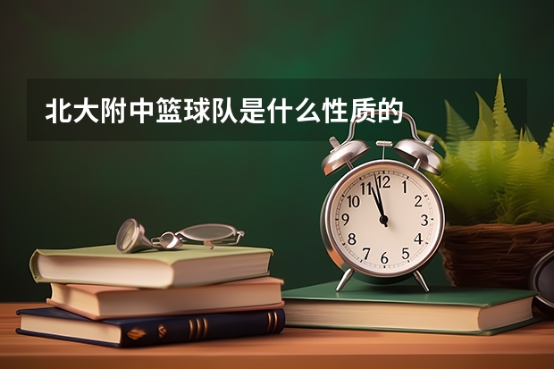 北大附中篮球队是什么性质的