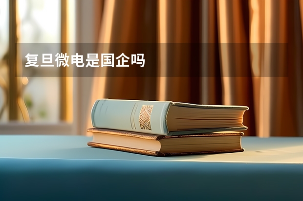 复旦微电是国企吗