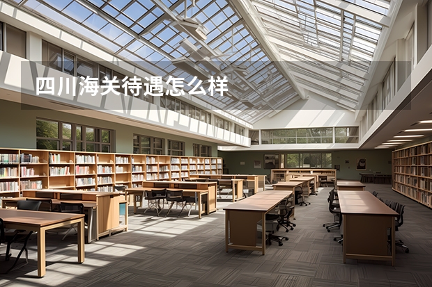 四川海关待遇怎么样