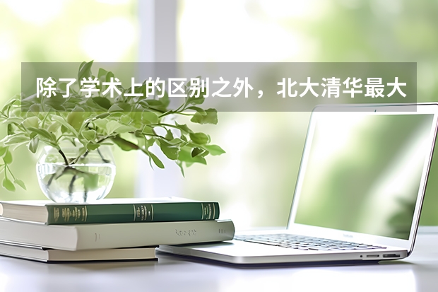 除了学术上的区别之外，北大清华最大的区别在哪里
