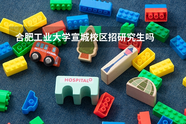合肥工业大学宣城校区招研究生吗